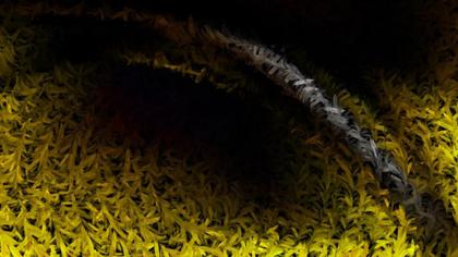 Abstract Brushstroke Texture