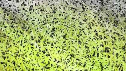 A Creative Collection of Green and Grey Designs