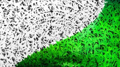Abstract Green and White Texture