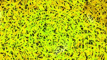 Abstract Ferns