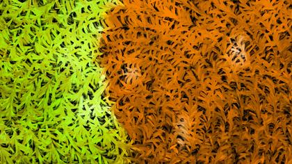 Abstract Foliage