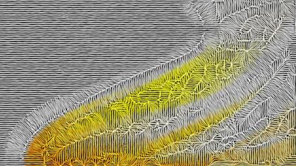 Abstract Patterned Background