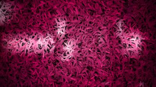 Abstract Floral Pattern