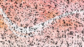 Abstract Floral Pattern