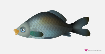 Free Vector Fish – Carp
