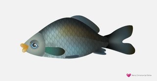Free Vector Fish – Carp