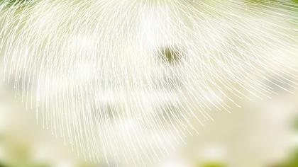 Feathered Lines