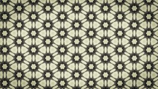 Ornamental Starburst Pattern