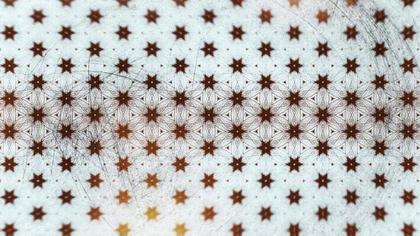 Brown and White Floral Pattern
