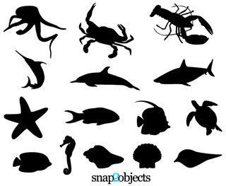 Free Sea Life Vector Silhouettes