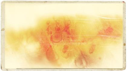 Abstract Floral Grunge