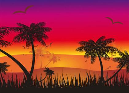Embrace the Beauty of Sunset: An Exquisite Vector Design Collection