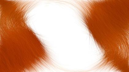 Orange Fur Texture Frame