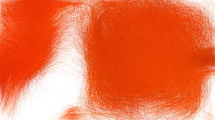 Orange Haze