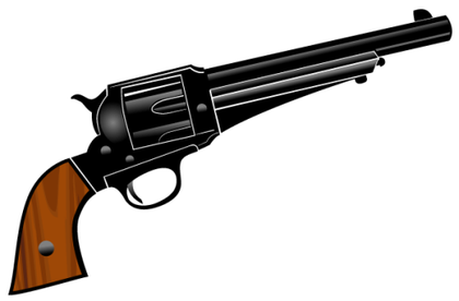 Diverse and Dynamic Vector Collection: Spotlighting the Pistol Vector