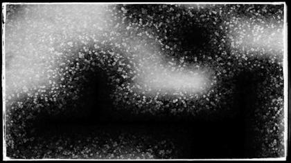 Textured Abstract in Black and White