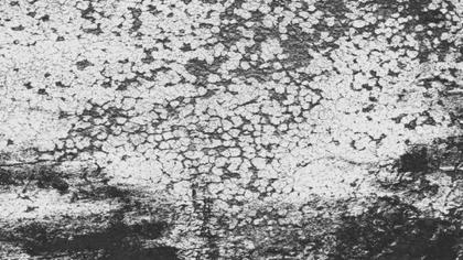 Cracked Texture