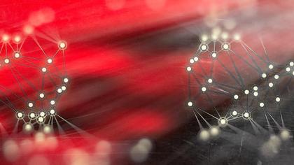 Networked Structures