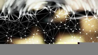 Network Connection