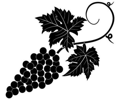 Grapevine Vector Image