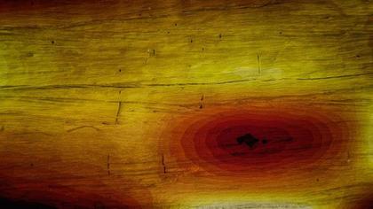Layered Wood Texture