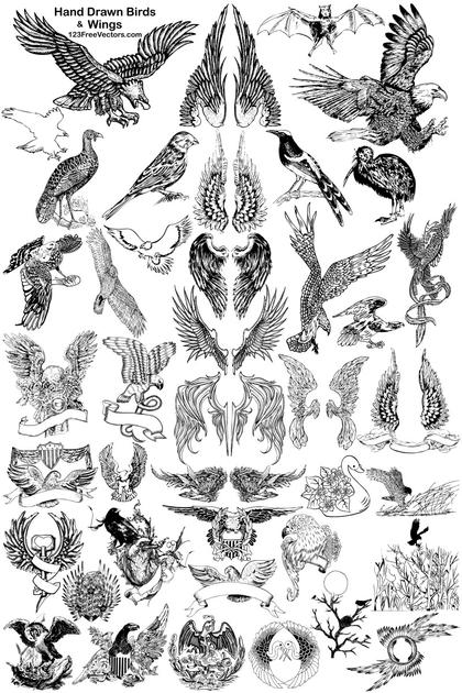 Hand Drawn Birds and Wings Illustrations
