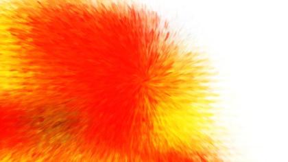 Burst of Color