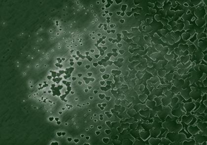 Heart Bubbles