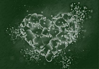 Heart Formation