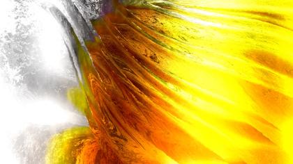 Vibrant Fusion: Creative Collection of Orange Yellow and White Designs