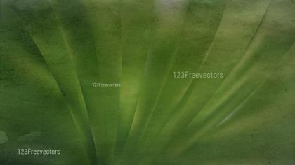 Exploring the Depths: The Artistry of Dark Green Designs