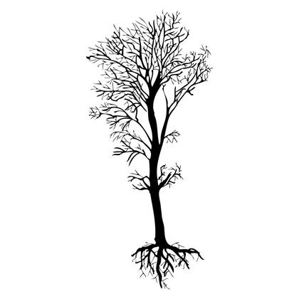 Bare Tree Silhouette