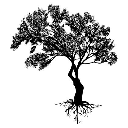 Silhouette Tree