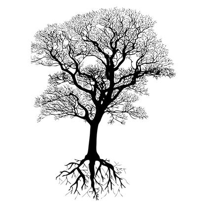 Bare Tree Silhouette