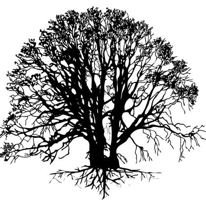 Silhouette Tree