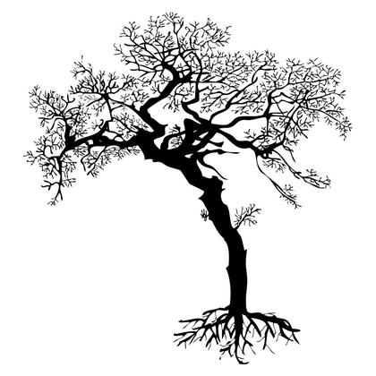 Silhouette Tree
