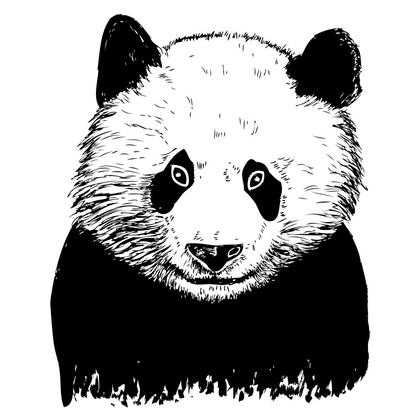 Unique Hand-Drawn Vector Collection: From Banners to Wildlife
