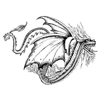 Dragon Illustration