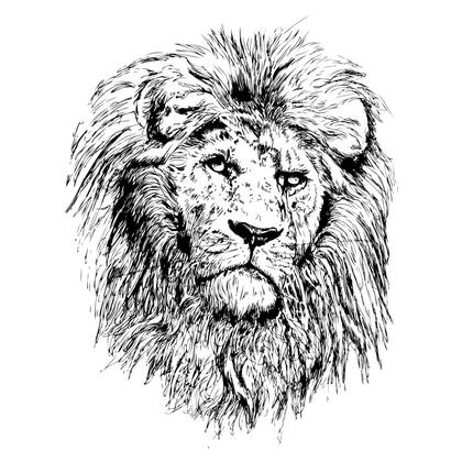 A Profuse Collection of Lion Vector Designs: From Heraldic Crests to Cartoon Imagery