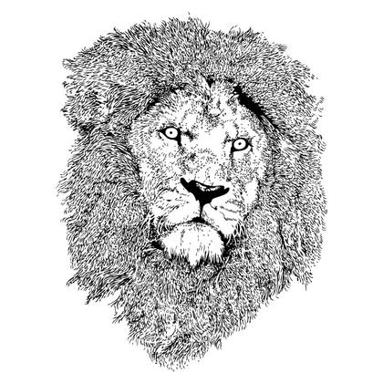 A Profuse Collection of Lion Vector Designs: From Heraldic Crests to Cartoon Imagery