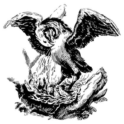 Eagle Nesting Illustration