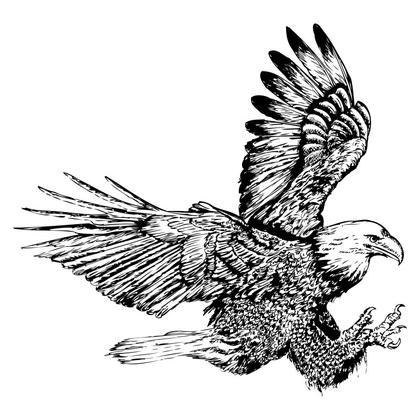 Soaring Eagle