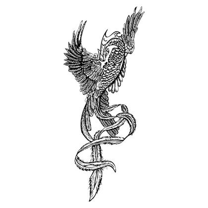 Creative Medley of Hand-Drawn Vector Designs