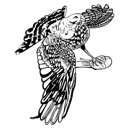 Hawk with Prey