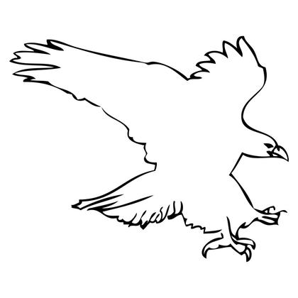 Soaring Eagle Outline