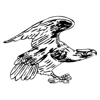 Soaring Eagle Silhouette