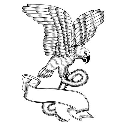 Eagle With Banner
