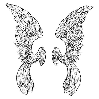 Phoenix Wings Illustration