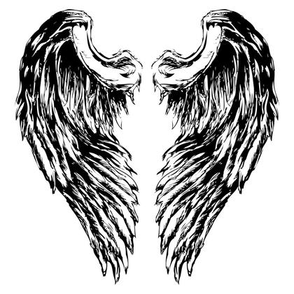 Hand-Drawn Vector Designs: A Rich Collection of Angelic Wings
