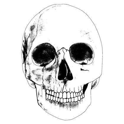 Unveiling 45 Captivating Skull Vectors: A Treasure Trove for Designers
